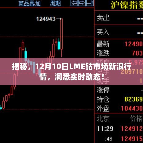 揭秘LME钴市场实时动态，深度解析新浪行情，洞悉市场走势（12月10日）