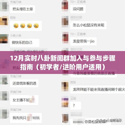 12月八卦新闻群加入与参与指南，适合初学者与进阶用户的步骤详解