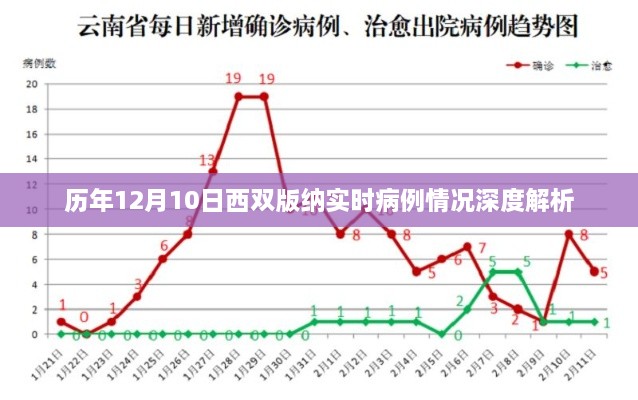 历年12月10日西双版纳疫情实时病例深度报告