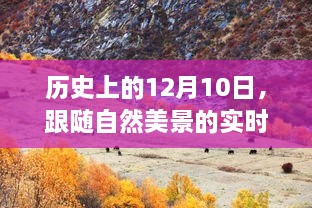 12月10日自然美景之旅，追寻内心的平和与宁静