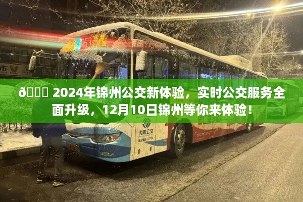 2024年锦州公交全新升级体验，实时服务、智能出行，等你来探秘！