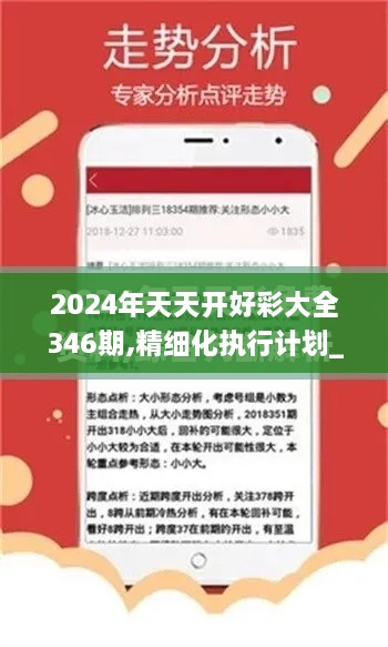 2024年天天开好彩大全346期,精细化执行计划_W9.640