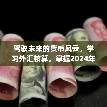 驾驭未来货币风云，掌握外汇核算与2024年汇率预测之旅的自信与成就感。