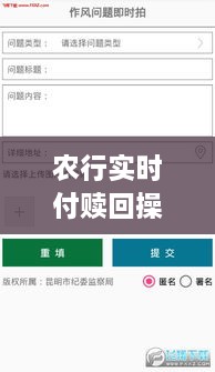 农行实时付赎回操作指南，适合初学者与进阶用户的实用指南