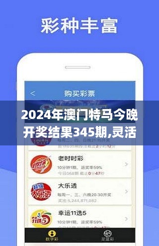 2024年澳门特马今晚开奖结果345期,灵活设计解析方案_领航款4.345