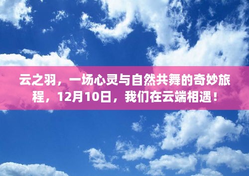 云之羽，心灵与自然的云端共舞之旅，12月10日相约云端！