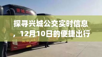 探寻兴城公交实时信息，便捷出行之旅启程于12月10日