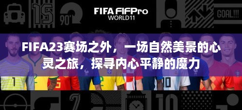 FIFA23赛场之外的自然探索，心灵之旅探寻内心平静的魅力