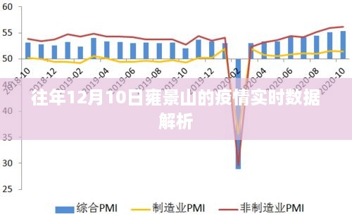 雍景山疫情实时数据解析，历年12月10日疫情动态概览