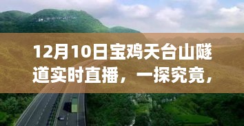 宝鸡天台山隧道12月10日实时直播，科技与自然融合的奇迹一探究竟