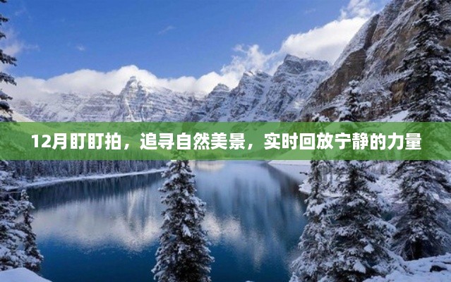 12月盯盯拍，追寻自然美景，感受宁静的力量实时回放