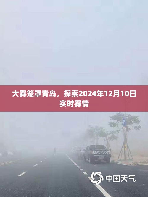 青岛大雾笼罩下的实时雾情探索，2024年12月10日雾况报告