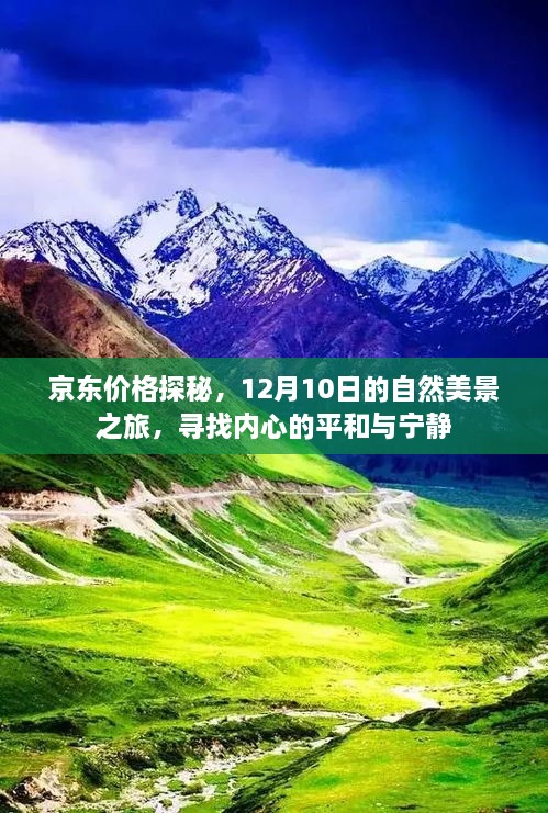 京东价格探秘与心灵之旅，12月10日自然美景中的平和与宁静寻找记