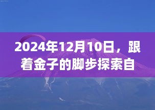 跟着金子的脚步，探寻自然美景，寻觅内心黄金乐园（2024年12月10日）