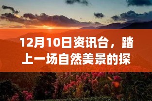 探索自然美景之旅，寻找内心的平和与宁静（12月10日资讯台）