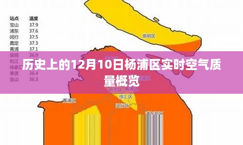 历史上的今天与杨浦区空气质量概览，实时空气质量报告