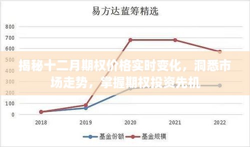 揭秘十二月期权价格实时变化，洞悉市场走势，把握投资先机