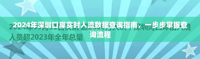 2024深圳口岸实时人流数据查询指南，轻松掌握查询流程