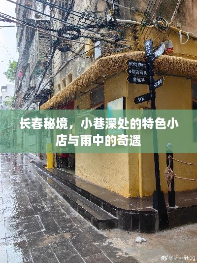 长春小巷探秘，特色小店与雨中奇遇的邂逅