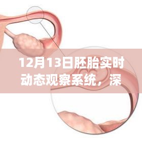 12月13日胚胎实时动态观察系统深度解析与介绍