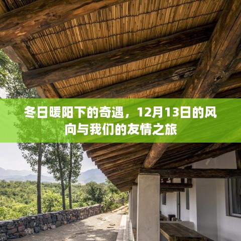 冬日暖阳下的友情奇遇，12月13日的风向与我们的旅程