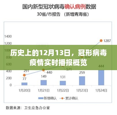 冠形病毒疫情实时播报概览，历史上的十二月十三日回顾