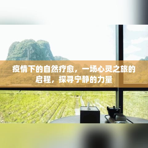 疫情下的自然疗愈之旅，心灵探寻宁静的力量