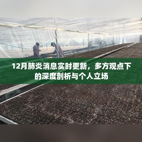 12月肺炎消息实时更新与多方观点深度剖析，个人立场下的探讨