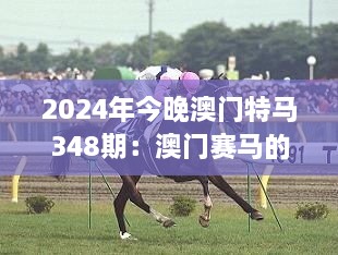 2024年今晚澳门特马348期：澳门赛马的社会影响