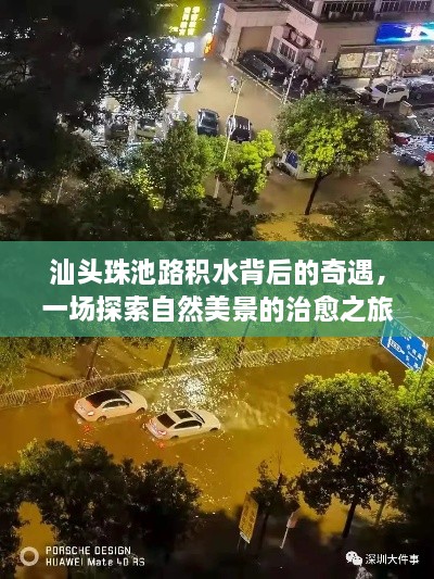 汕头珠池路积水背后的奇遇，自然美景探索之旅的治愈力量