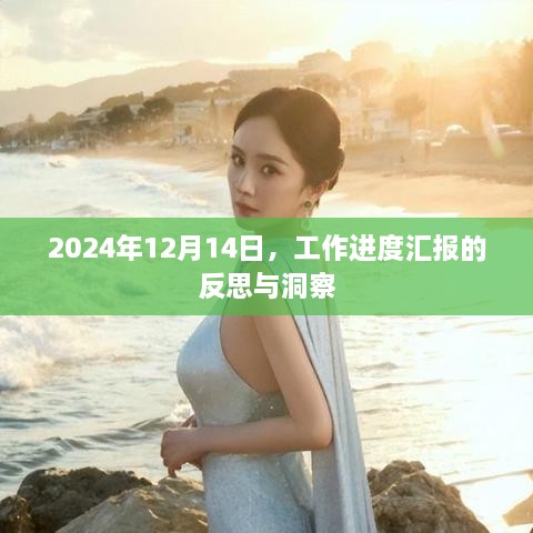 2024年工作进度汇报反思与洞察