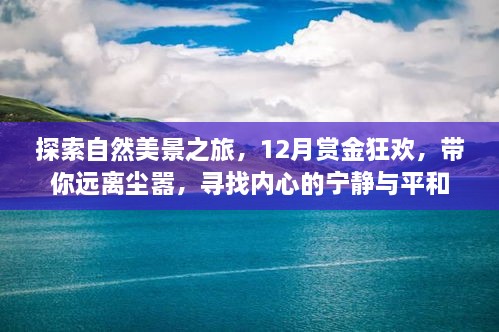 12月赏金狂欢，自然美景之旅，寻找内心的宁静与平和