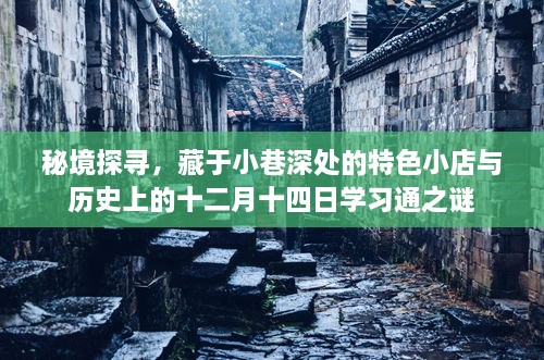 秘境探寻，小巷深处的特色小店与学习通的历史之谜——十二月十四日探秘之旅