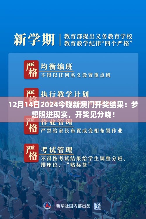 12月14日2024今晚新澳门开奖结果：梦想照进现实，开奖见分晓！