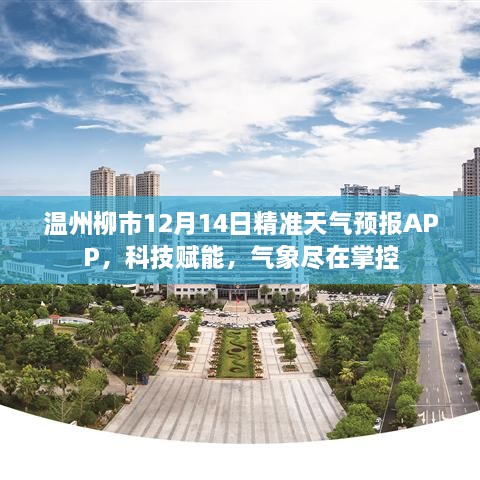 温州柳市12月14日精准天气预报APP，科技引领气象掌控新时代