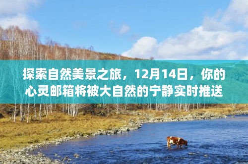 心灵启程，探索自然美景之旅，心灵邮箱的宁静推送——12月14日启程