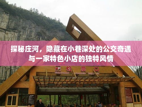 探秘庄河，公交奇遇与独特小店的风情之旅