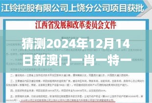 猜测2024年12月14日新澳门一肖一特一中：对国际投资的影响