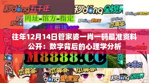 往年12月14日管家婆一肖一码最准资料公开：数字背后的心理学分析