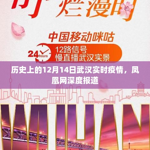 凤凰网深度报道，武汉疫情实时追踪纪实——历史上的十二月十四日