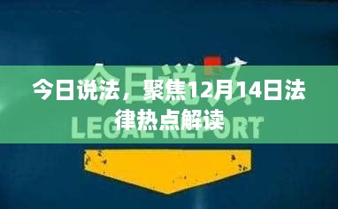 今日说法，聚焦热点法律解读，深度剖析12月14日法律要闻