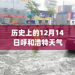 历史上的12月14日呼和浩特天气回顾与实时解析