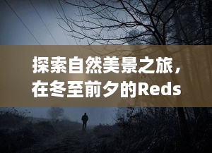 冬至前夕的自然美景探索与Redshift实时渲染的心灵之旅