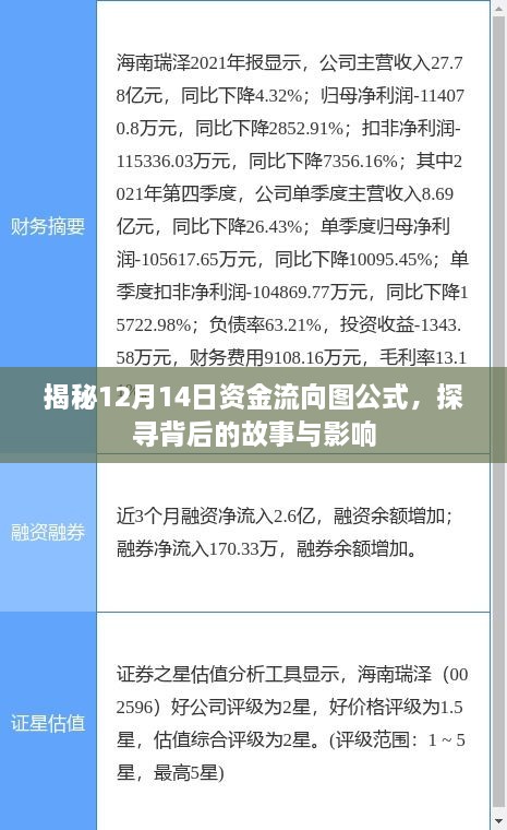 揭秘资金流向图公式背后的故事与影响，聚焦12月14日数据解密