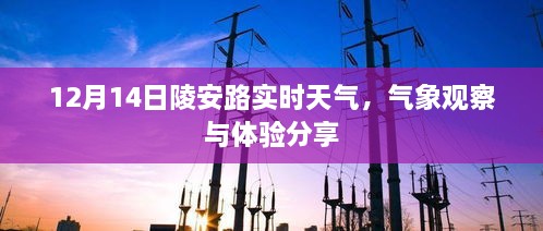 陵安路气象观察与体验分享，实时天气解读（12月14日）