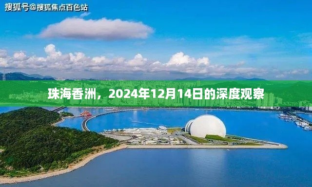 珠海香洲，2024年12月14日深度解析