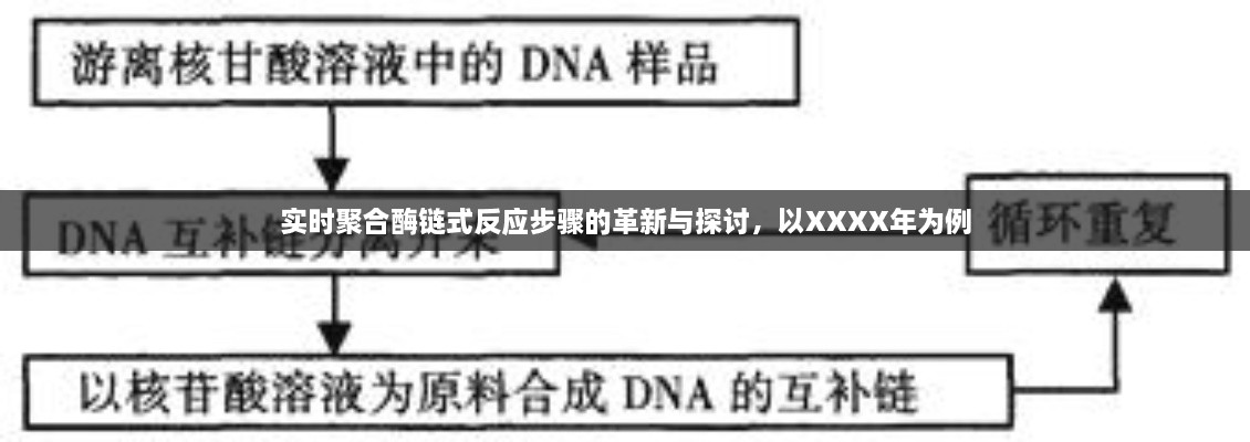 实时聚合酶链式反应步骤革新与探讨，聚焦XXXX年进展