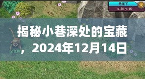 小巷深处的秘密宝藏，Tudou实时收获之旅（2024年12月14日）