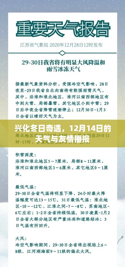 兴化冬日奇遇，12月14日的天气与友情的温馨播报