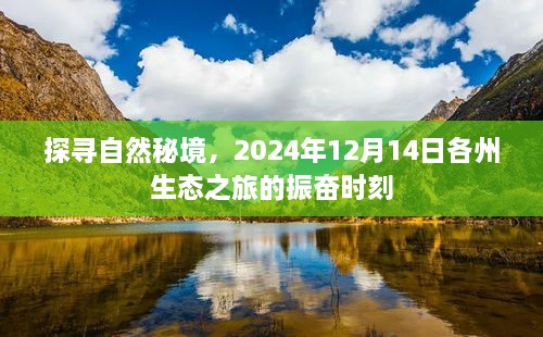 探寻自然秘境，各州生态之旅的振奋时刻（2024年12月14日）